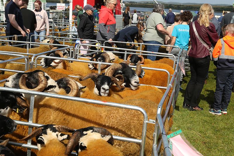 Seven agricultural shows in Donegal have received funding totalling &euro;59,400