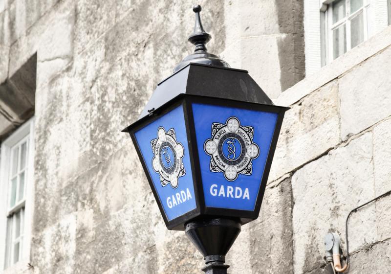 National: Gardaí arrest two teens following burglary at a business premises