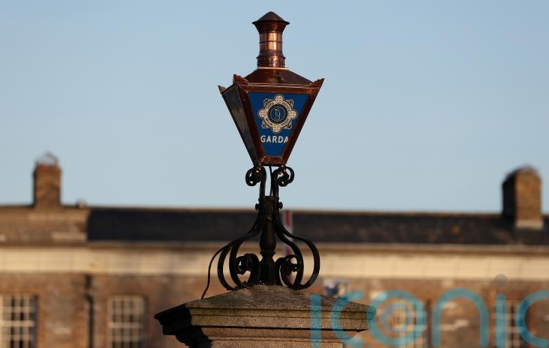 Woman tased during arrest in Limerick