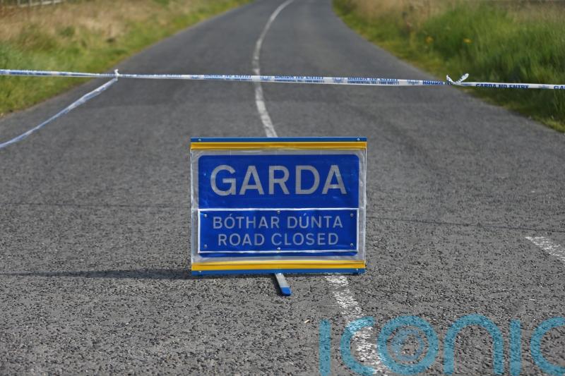 Gardaí appeal for information as man dies in early morning crash in Offaly