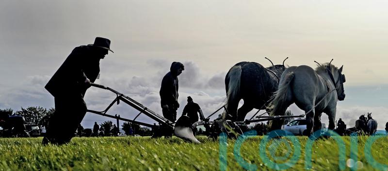 EU Commissioner does not want to ‘decimate’ farming, Irish MEPs say