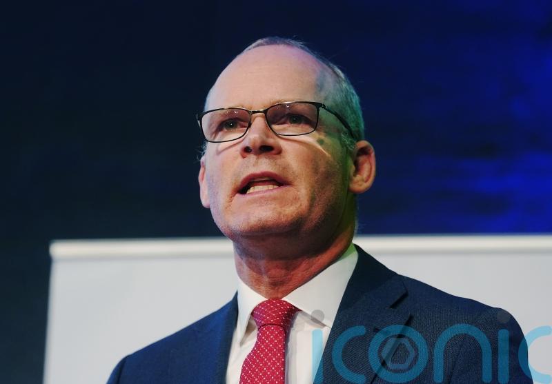 Simon Coveney refuses to confirm whether he will run in next general election