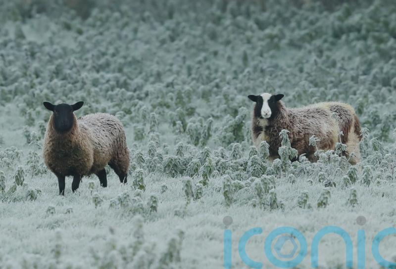 Warning issued with temperatures set to drop to minus three overnight