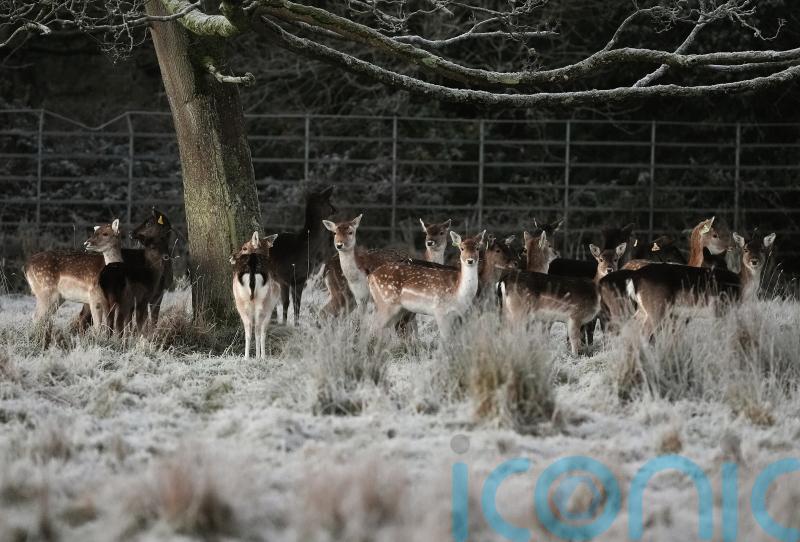 Emergency team meeting as country braces for &lsquo;multi-hazard weather event&rsquo;