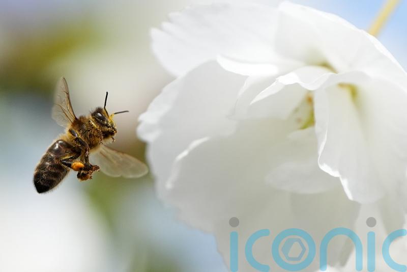 Ireland has warmest spring in 126 years – Met Eireann