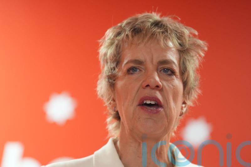 Irish Labour leader Ivana Bacik says Irish unity stance is not about Sinn Fein