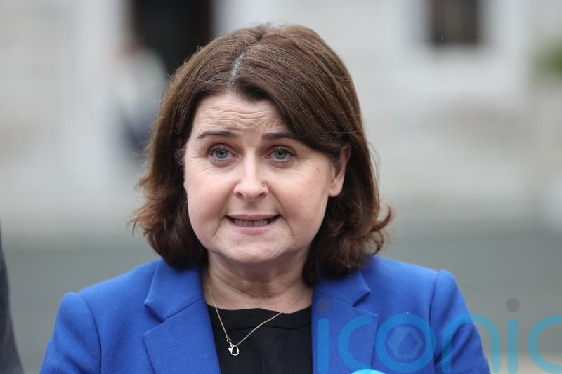 Stricter rules for puppy farms is &lsquo;something people want action on&rsquo;, Dail hears